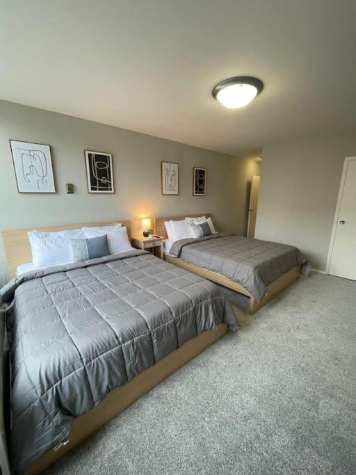Charming Apartment At Crystal City With Amazing Amenities Arlington Zewnętrze zdjęcie