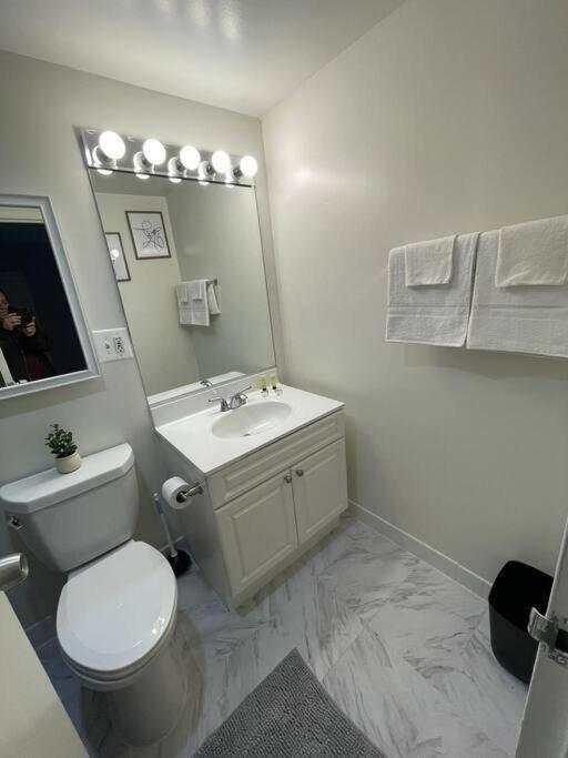 Charming Apartment At Crystal City With Amazing Amenities Arlington Zewnętrze zdjęcie